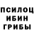 Псилоцибиновые грибы GOLDEN TEACHER Oly Pogrebaeva