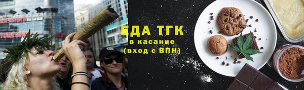 хмурый Абаза