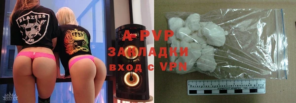 хмурый Абаза