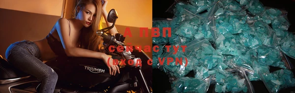 хмурый Абаза