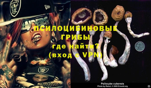 гидра Абдулино