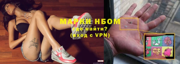 хмурый Абаза