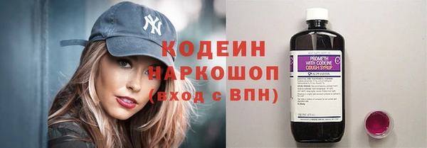 хмурый Абаза