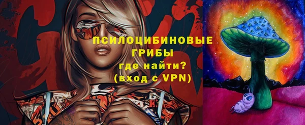хмурый Абаза