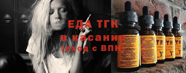 хмурый Абаза